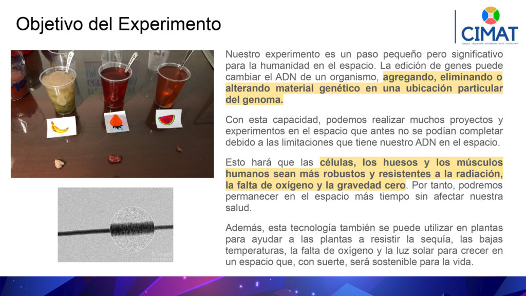 CIMAT - Modificación Genética - Fobos y Deimos