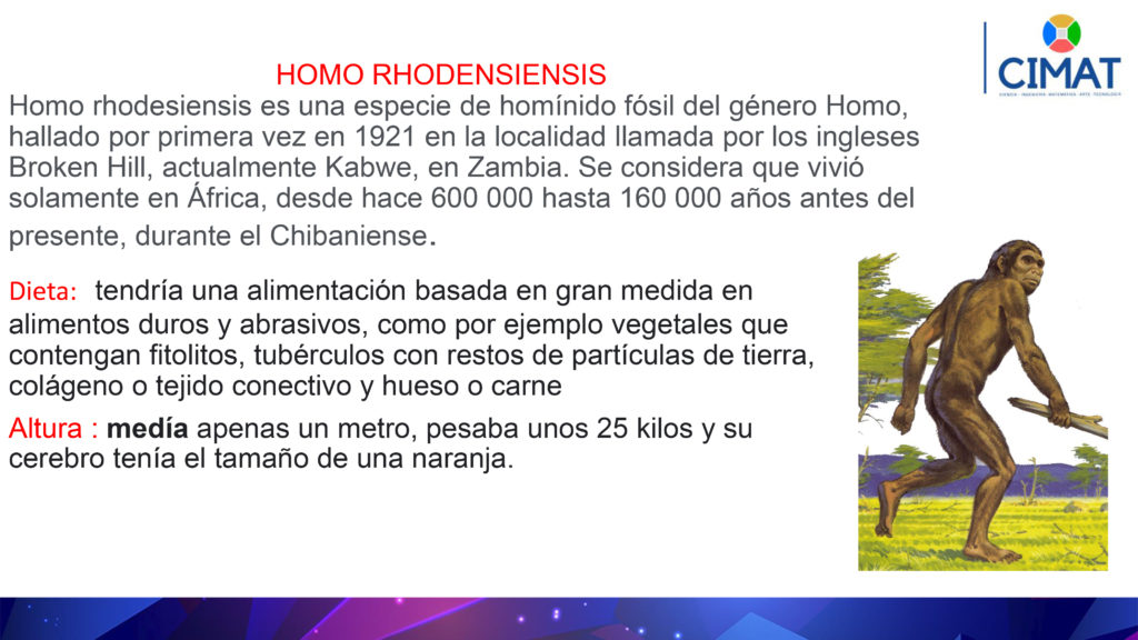 Nombre del proyecto : Evolución del ser humano    Área : Cienc